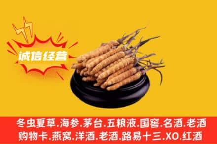 那曲市嘉黎县回收冬虫夏草
